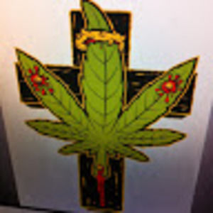 Meet your Posher, Shanon